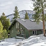 Cedar And Snow