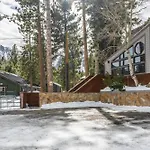 Cedar And Snow